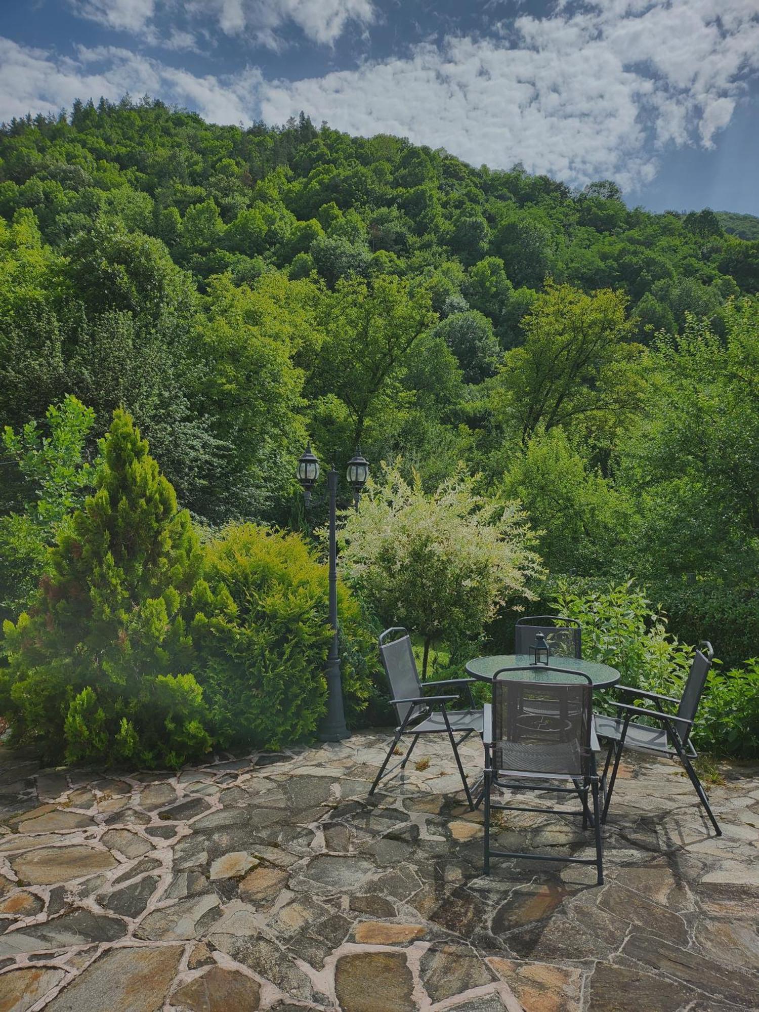 Eco Residence Ribaritsa Dış mekan fotoğraf