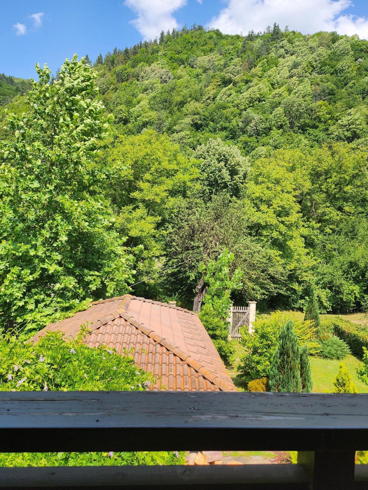 Eco Residence Ribaritsa Dış mekan fotoğraf