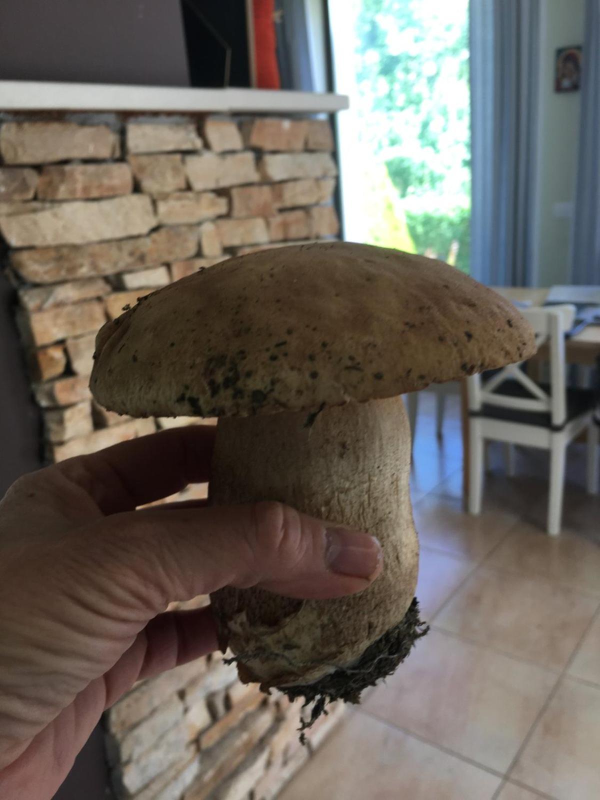 Eco Residence Ribaritsa Dış mekan fotoğraf